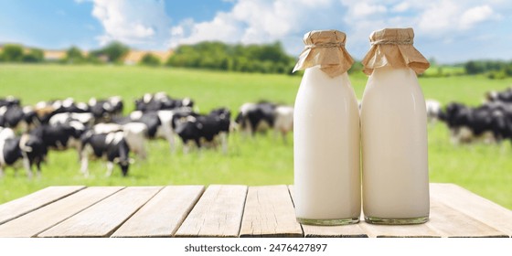 人与野兽在线观看