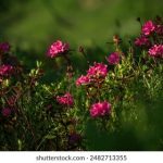 亚洲高清无在码在线电影 340bbt534i