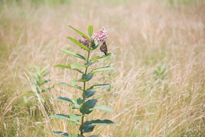 国语对白一区二区三区