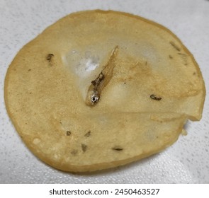 人人弄狠狠婷五月丁香