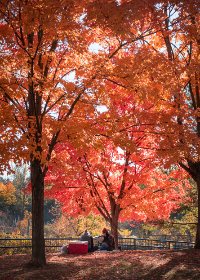 亚洲？自拍？另类小说综合图区
