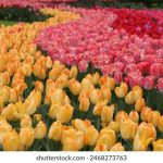 人与OOOZZZXXX qanh21sn