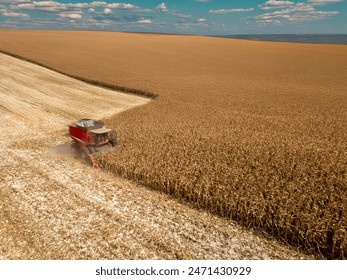 中文字幕在线观看