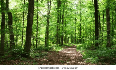 国语92午夜福利200集