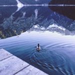 snisnisni:探索snisnisni背后的奥秘与应用价值 7sf43k2h5