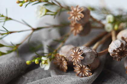 《坚如磐石》蓝光版在线观看：震撼视觉体验与精彩剧情解析