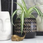 人猿泰山:探索人与自然的深刻联系与冒险故事 ljpd0dey